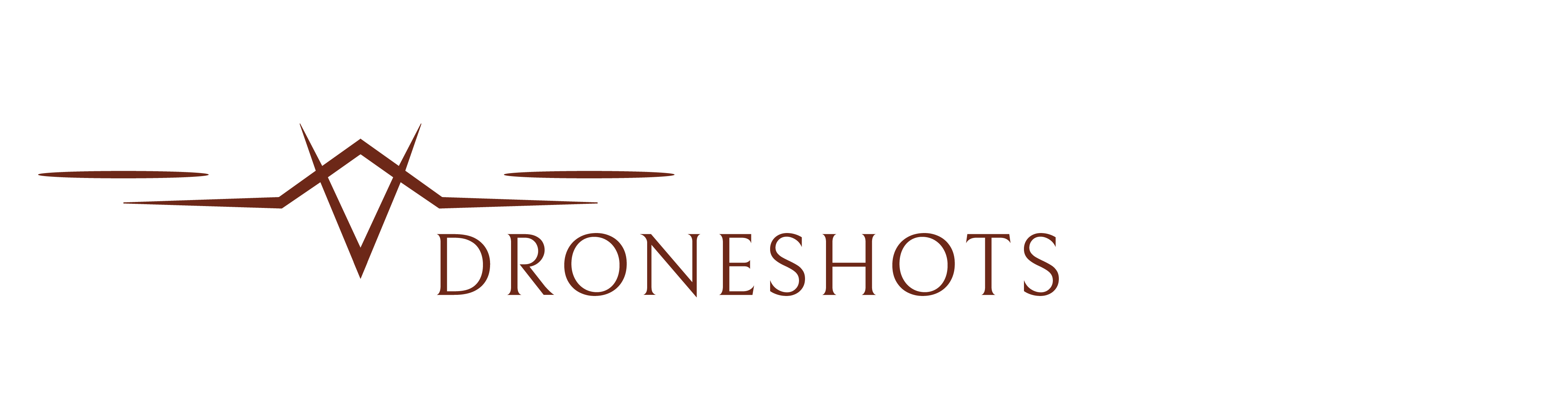 Logo DroneShots